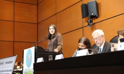 Propone diputada sancionar mutilaciones estéticas en animales de compañía
