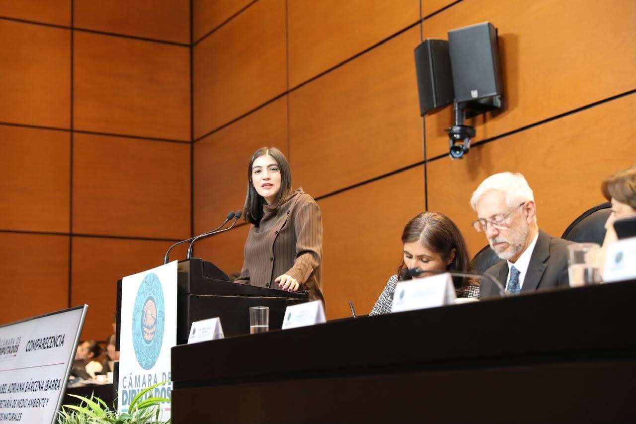Propone diputada sancionar mutilaciones estéticas en animales de compañía