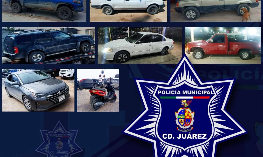 Aseguran diez vehículos robados durante operativo