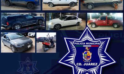 Aseguran diez vehículos robados durante operativo