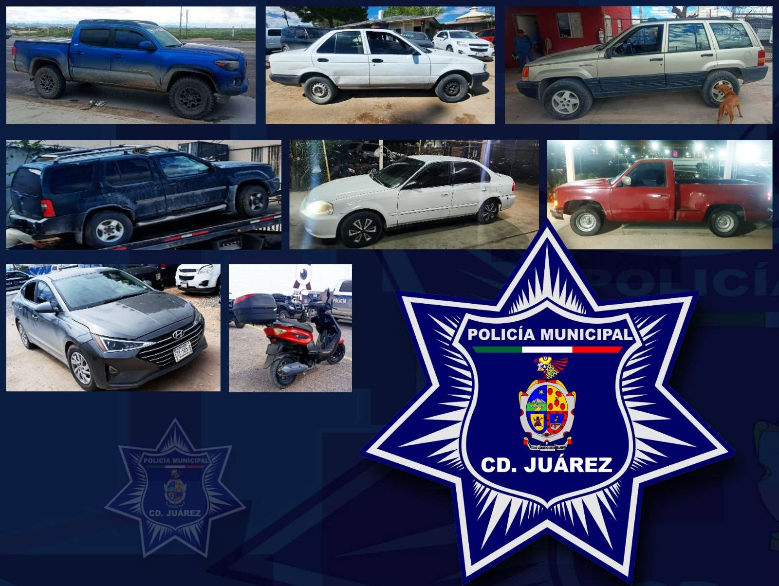 Aseguran diez vehículos robados durante operativo