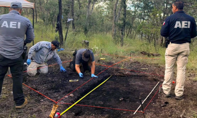 Localizan fragmentos óseos en Madera con alteración térmica