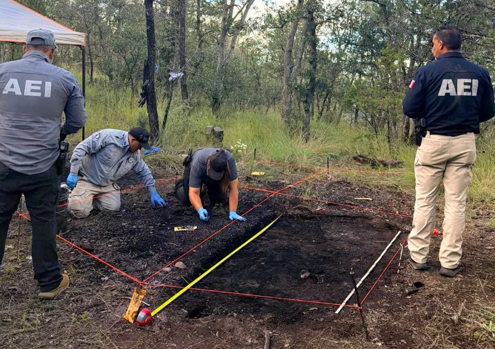 Localizan fragmentos óseos en Madera con alteración térmica