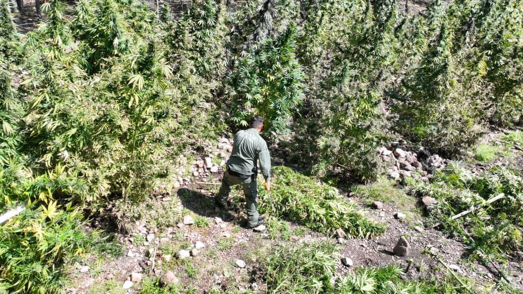 SSPE detiene a 154 personas y asegura 31 vehículos en operativos