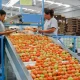 Ebrard critica cuota compensatoria de EU al tomate por elevar precios