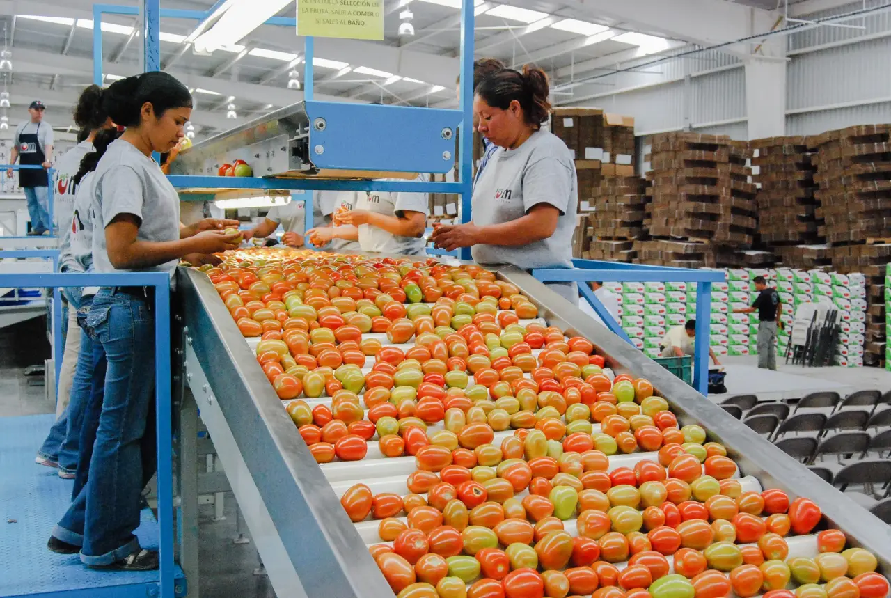 Ebrard critica cuota compensatoria de EU al tomate por elevar precios