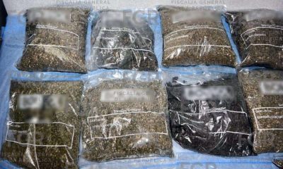 Procesan a tres personas detenidas con 26 kilos de marihuana