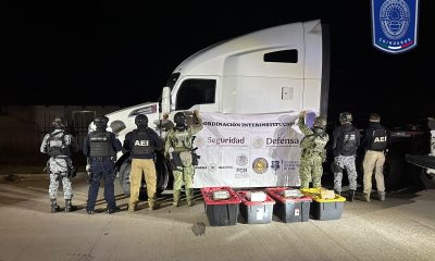 Célula BOII asegura más de 100 kilos de cocaína en Cuauhtémoc