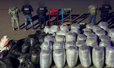 FGE asegura casi una tonelada de marihuana en Parral