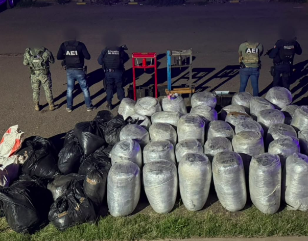 FGE asegura casi una tonelada de marihuana en Parral