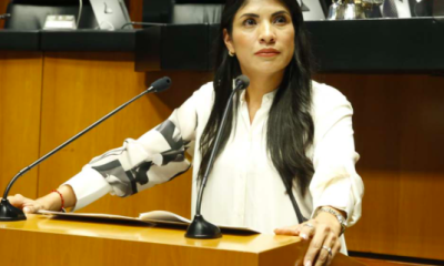 PAN propone reducir poderes de la presidencia del INE