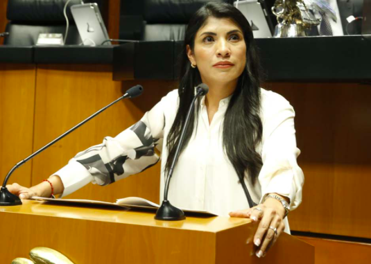 PAN propone reducir poderes de la presidencia del INE